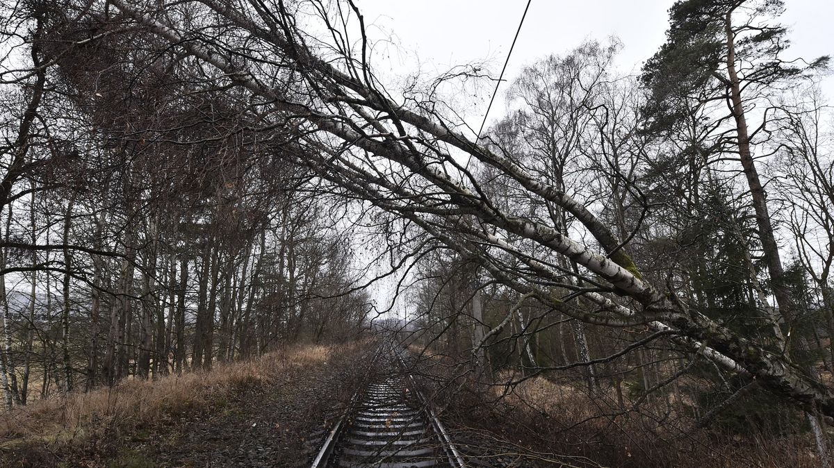 Popadané stromy zastavily vlaky u Prahy